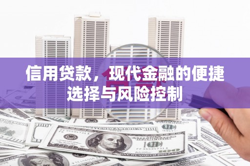 双台子信用贷款，现代金融的便捷选择与风险控制