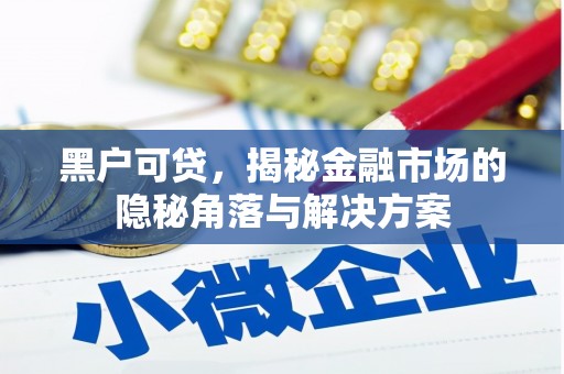 双台子黑户可贷，揭秘金融市场的隐秘角落与解决方案