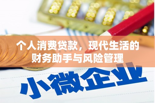 双台子个人消费贷款，现代生活的财务助手与风险管理