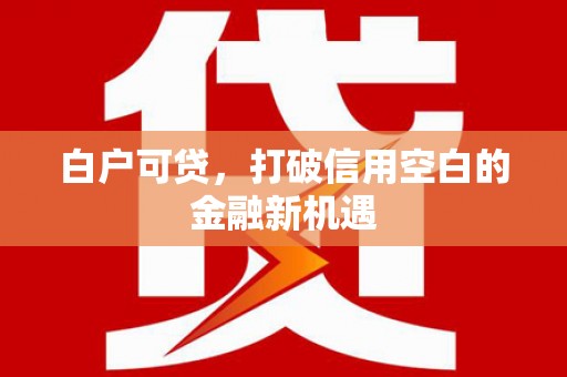 双台子白户可贷，打破信用空白的金融新机遇