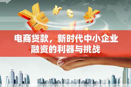 双台子电商贷款，新时代中小企业融资的利器与挑战