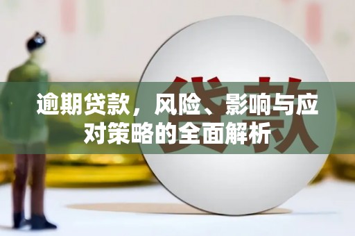 双台子逾期贷款，风险、影响与应对策略的全面解析