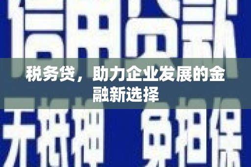 双台子税务贷，助力企业发展的金融新选择