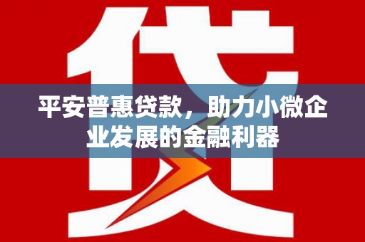 双台子平安普惠贷款，助力小微企业发展的金融利器