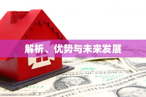 双台子解析、优势与未来发展
