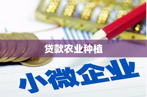 双台子贷款农业种植