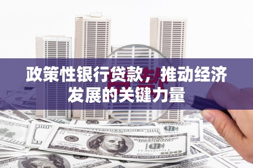双台子政策性银行贷款，推动经济发展的关键力量