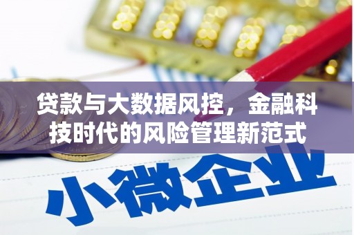双台子贷款与大数据风控，金融科技时代的风险管理新范式