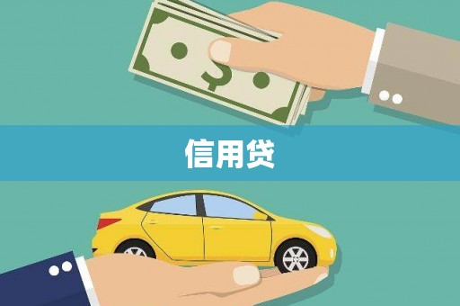 双台子信用贷