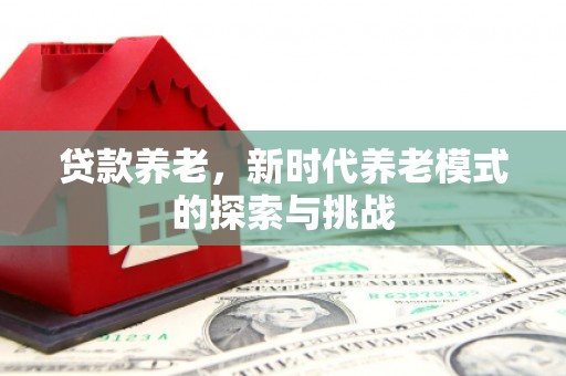 双台子贷款养老，新时代养老模式的探索与挑战