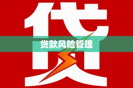 双台子贷款风险管理