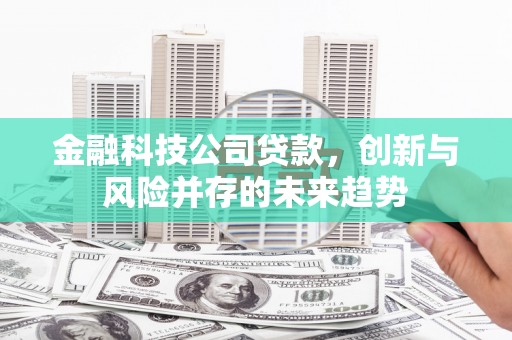 双台子金融科技公司贷款，创新与风险并存的未来趋势