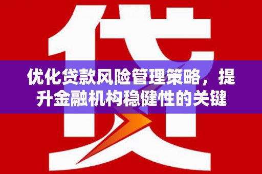 双台子优化贷款风险管理策略，提升金融机构稳健性的关键