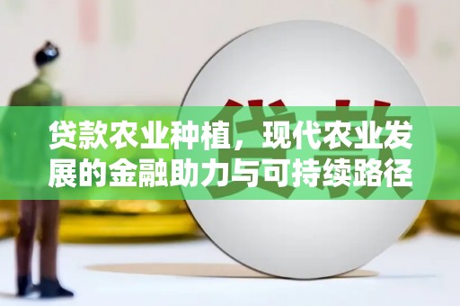 双台子贷款农业种植，现代农业发展的金融助力与可持续路径
