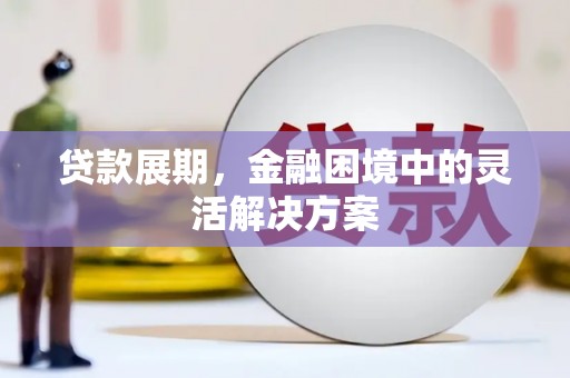 双台子贷款展期，金融困境中的灵活解决方案