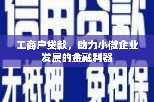 双台子工商户贷款，助力小微企业发展的金融利器