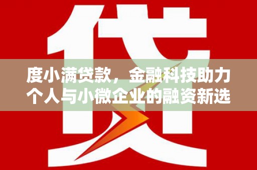 双台子度小满贷款，金融科技助力个人与小微企业的融资新选择