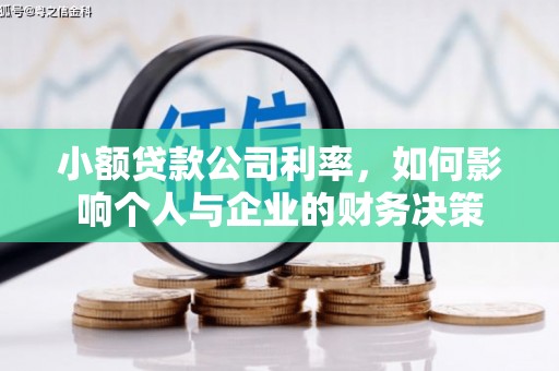 双台子小额贷款公司利率，如何影响个人与企业的财务决策