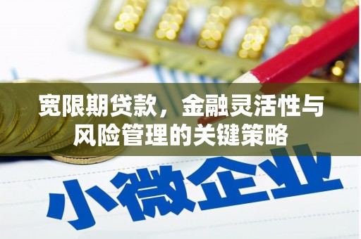 双台子宽限期贷款，金融灵活性与风险管理的关键策略