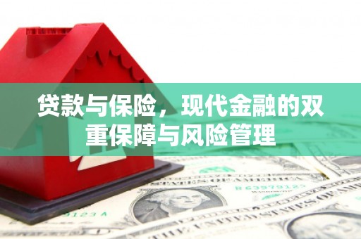 双台子贷款与保险，现代金融的双重保障与风险管理
