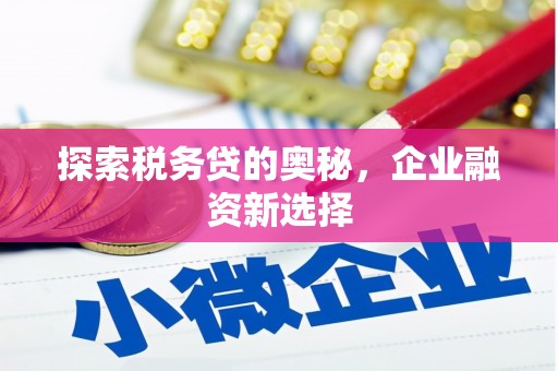 双台子探索税务贷的奥秘，企业融资新选择