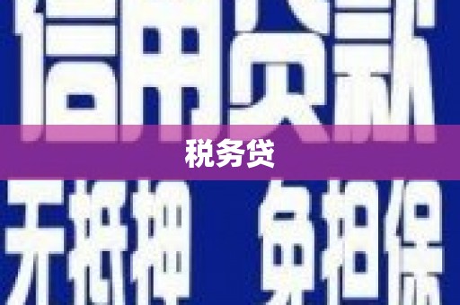 双台子税务贷