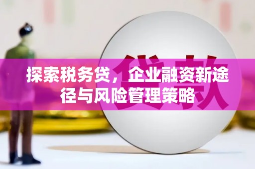 双台子探索税务贷，企业融资新途径与风险管理策略