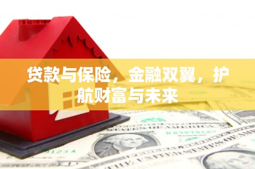 双台子贷款与保险，金融双翼，护航财富与未来