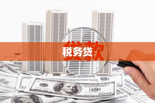 双台子税务贷