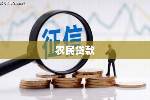 双台子农民贷款