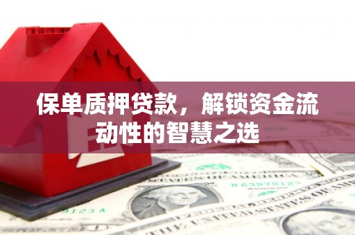 双台子保单质押贷款，解锁资金流动性的智慧之选