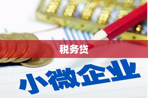 双台子税务贷