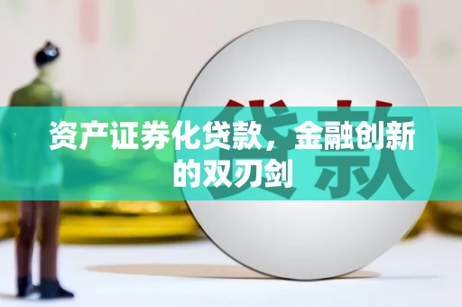 双台子资产证券化贷款，金融创新的双刃剑