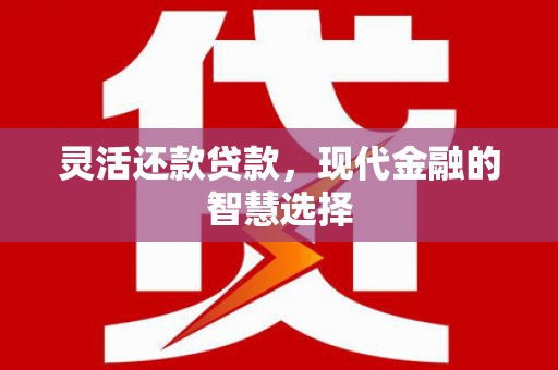 双台子灵活还款贷款，现代金融的智慧选择