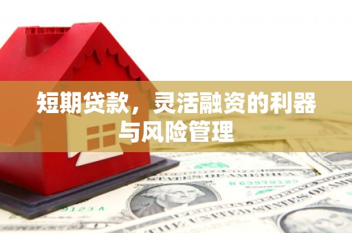 双台子短期贷款，灵活融资的利器与风险管理