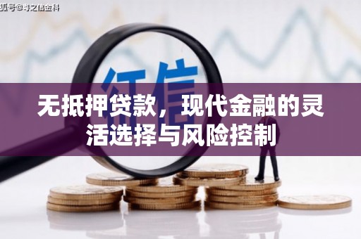 双台子无抵押贷款，现代金融的灵活选择与风险控制