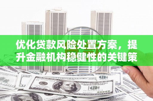 双台子优化贷款风险处置方案，提升金融机构稳健性的关键策略