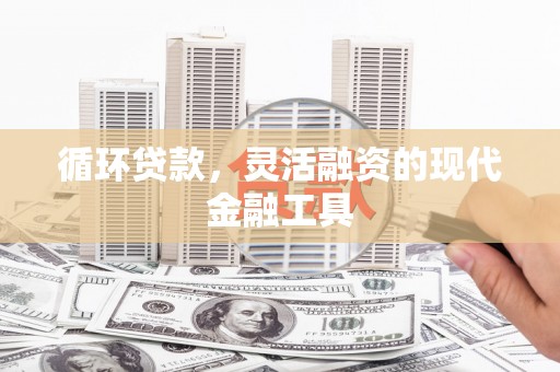 双台子循环贷款，灵活融资的现代金融工具