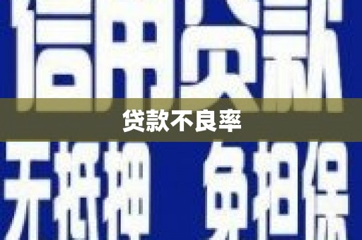 双台子贷款不良率