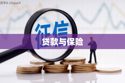 双台子贷款与保险