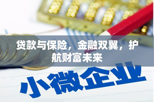 双台子贷款与保险，金融双翼，护航财富未来