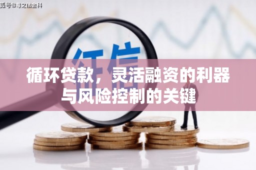 双台子循环贷款，灵活融资的利器与风险控制的关键