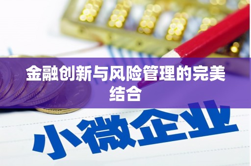 双台子金融创新与风险管理的完美结合