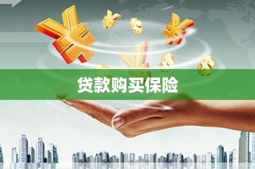 双台子贷款购买保险