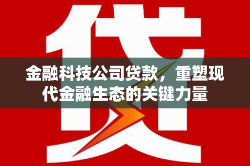 双台子金融科技公司贷款，重塑现代金融生态的关键力量