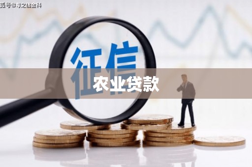 双台子农业贷款