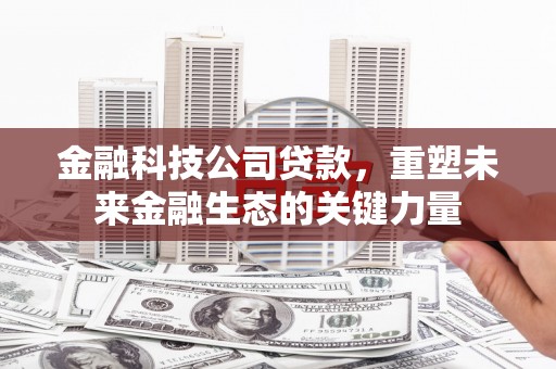 双台子金融科技公司贷款，重塑未来金融生态的关键力量