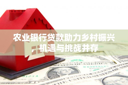双台子农业银行贷款助力乡村振兴，机遇与挑战并存