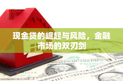 双台子现金贷的崛起与风险，金融市场的双刃剑