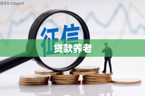双台子贷款养老